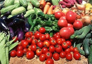 南通海門(mén) 食用農(nóng)產(chǎn)品將擁有 