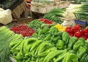 克旗市場(chǎng)監(jiān)管局多舉措強(qiáng)化食用農(nóng)產(chǎn)品質(zhì)量安全監(jiān)管