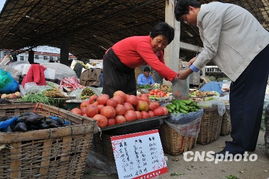 市場監測顯示 食用農產品價格總體平穩，生產資料價格呈上行態勢