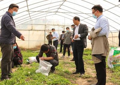 中牟縣試行食用農(nóng)產(chǎn)品合格證制度 守護舌尖安全，推動產(chǎn)業(yè)升級