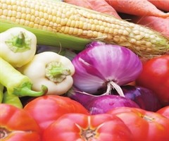 筑牢餐桌防線 中國食用農產品安全現狀與展望