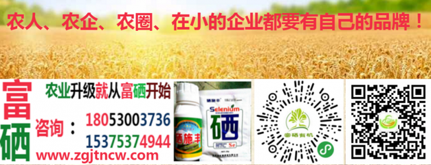 農業農村部實施新規，全國食用農產品全面推行合格證制度